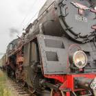 zdjęcie nr 9