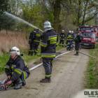 zdjęcie nr 17