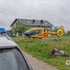 zdjęcie nr 7