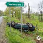 Fotka nr 3 z 8