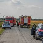 zdjęcie nr 8