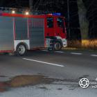 Fotka nr 5 z 7