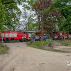 zdjęcie nr 8