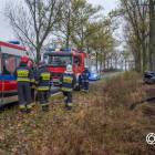 Fotka nr 2 z 12