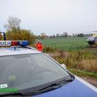 zdjęcie nr 11
