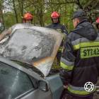 Fotka nr 1 z 11