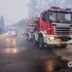 Fotka nr 5 z 8
