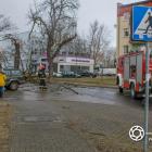 zdjęcie nr 7