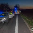 Fotka nr 1 z 12