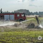 Fotka nr 3 z 14