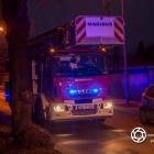Fotka nr 5 z 11