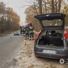 Fotka nr 1 z 7