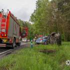 zdjęcie nr 11