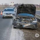 Fotka nr 5 z 7