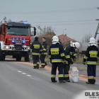 zdjęcie nr 14