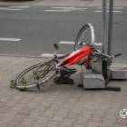 Fotka nr 1 z 5