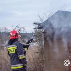Fotka nr 3 z 15