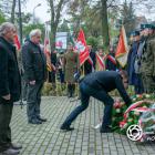 zdjęcie nr 26