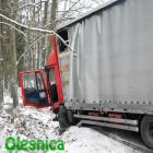 zdjęcie nr 15