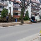 Fotka nr 5 z 8