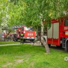 Fotka nr 5 z 21
