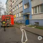 Fotka nr 1 z 5