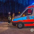 Fotka nr 2 z 26