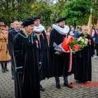 zdjęcie nr 42