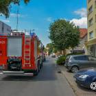 Fotka nr 1 z 5