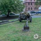 zdjęcie nr 19