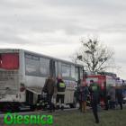 zdjęcie nr 9