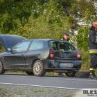 Fotka nr 2 z 11