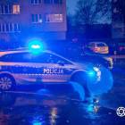 Fotka nr 1 z 4