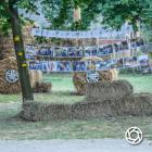zdjęcie nr 57
