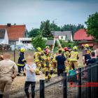 Fotka nr 2 z 10