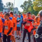 zdjęcie nr 118