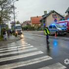 Fotka nr 3 z 11
