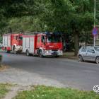 Fotka nr 1 z 4