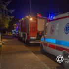 Fotka nr 5 z 8