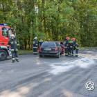 Fotka nr 2 z 12