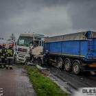 Fotka nr 4 z 28