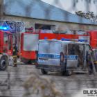 Fotka nr 3 z 11