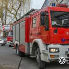 Fotka nr 5 z 9