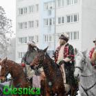 zdjęcie nr 24