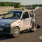 Fotka nr 2 z 13