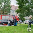 Fotka nr 1 z 24