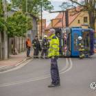 zdjęcie nr 12