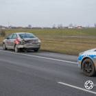 Fotka nr 0 z 13