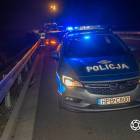 Fotka nr 5 z 14