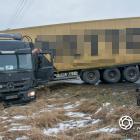 Fotka nr 3 z 10